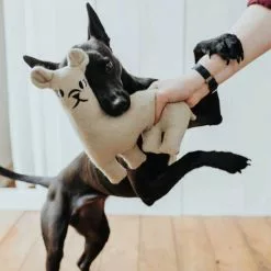 HUNTER Hundespielzeug, Mehrfarbig -Günstiges Tierbedarf Geschäft unnamed file 14037