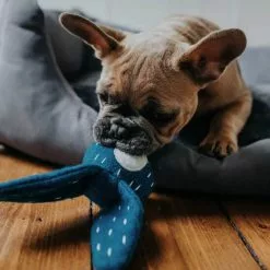 HUNTER Hundespielzeug, Mehrfarbig -Günstiges Tierbedarf Geschäft unnamed file 14041