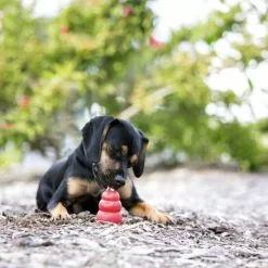 KONG® Hundespielzeug, Mehrfarbig -Günstiges Tierbedarf Geschäft unnamed file 14048
