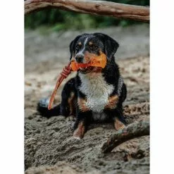 HUNTER Hundespielzeug, Mehrfarbig -Günstiges Tierbedarf Geschäft unnamed file 14084