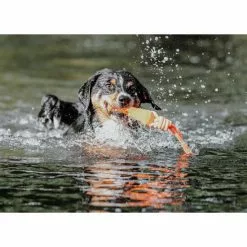 HUNTER Hundespielzeug, Mehrfarbig -Günstiges Tierbedarf Geschäft unnamed file 14085