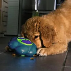 KONG® Hundespielzeug, Mehrfarbig -Günstiges Tierbedarf Geschäft unnamed file 14090