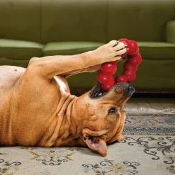 KONG® Hundespielzeug, Mehrfarbig -Günstiges Tierbedarf Geschäft unnamed file 14113