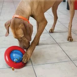 KONG® Hundespielzeug, Mehrfarbig -Günstiges Tierbedarf Geschäft unnamed file 14116