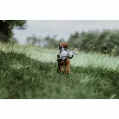 HUNTER Hundespielzeug, Mehrfarbig -Günstiges Tierbedarf Geschäft unnamed file 14136