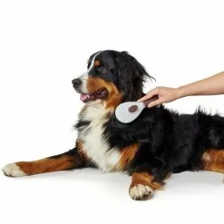 HUNTER Bürste, Für Hunde -Günstiges Tierbedarf Geschäft unnamed file 14218