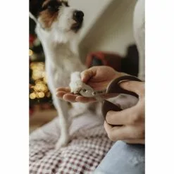 HUNTER Krallenschere, Für Hunde -Günstiges Tierbedarf Geschäft unnamed file 14227