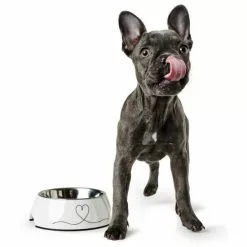 HUNTER Futternapf, Edelstahl, Weiß -Günstiges Tierbedarf Geschäft unnamed file 14234