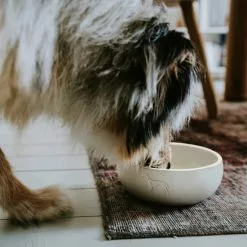 HUNTER Futternapf, Keramik, Weiß -Günstiges Tierbedarf Geschäft unnamed file 14254