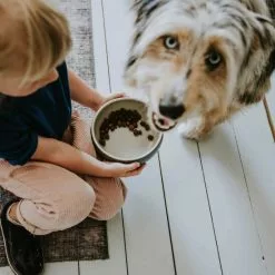 HUNTER Futternapf, Keramik, Grau -Günstiges Tierbedarf Geschäft unnamed file 14268