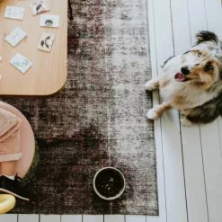 HUNTER Futternapf, Keramik, Weiß -Günstiges Tierbedarf Geschäft unnamed file 14277