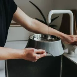 HUNTER Futternapf, Edelstahl, Grau -Günstiges Tierbedarf Geschäft unnamed file 14288