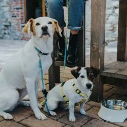 HUNTER Futternapf, Edelstahl, Weiß -Günstiges Tierbedarf Geschäft unnamed file 14290