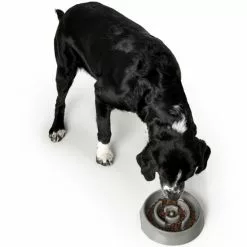 HUNTER Futternapf, Melaminbeschichtet, Grau -Günstiges Tierbedarf Geschäft unnamed file 14297