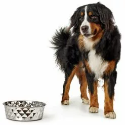 HUNTER Futternapf, Edelstahl, Silberfarben -Günstiges Tierbedarf Geschäft unnamed file 14302