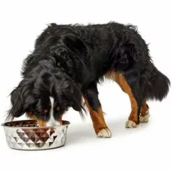 HUNTER Futternapf, Edelstahl, Silberfarben -Günstiges Tierbedarf Geschäft unnamed file 14308