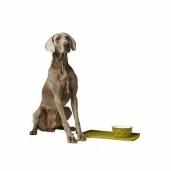 HUNTER Futternapf, Keramik, Gelb -Günstiges Tierbedarf Geschäft unnamed file 14344