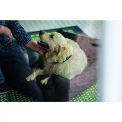 HUNTER Hunde-Sofa, BxHxL: 65 X 22 X 85 Cm, Braun -Günstiges Tierbedarf Geschäft unnamed file 14365