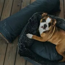 HUNTER Hunde-Sofa, BxHxL: 50 X 25 X 65 Cm, Anthrazit -Günstiges Tierbedarf Geschäft unnamed file 14408