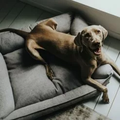 HUNTER Hunde-Sofa, BxHxL: 60 X 20 X 80 Cm, Grau -Günstiges Tierbedarf Geschäft unnamed file 14444