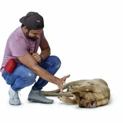 HUNTER Snackbeutel »Lugo«, Für Hunde, Silikon/Kunststoff, Rot -Günstiges Tierbedarf Geschäft unnamed file 14473