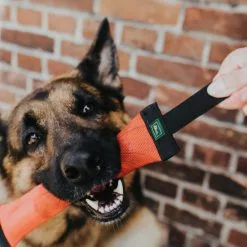 HUNTER Kleintierspielzeug »Trient«, Für Hunde, Nylon/Kunststoff, Rot -Günstiges Tierbedarf Geschäft unnamed file 14503