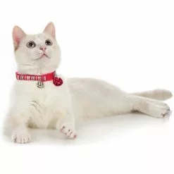 HUNTER Halsband »Glossy Stripes«, Für Katzen, Polyester, Pink -Günstiges Tierbedarf Geschäft unnamed file 14580