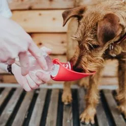 HUNTER Trinkflasche, Für Hunde, Silikon/Kunststoff, Rot -Günstiges Tierbedarf Geschäft unnamed file 14599