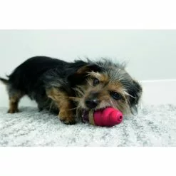 KONG® Hundesnack »Kong Marathon«, 68, ErdNuss -Günstiges Tierbedarf Geschäft unnamed file 14625