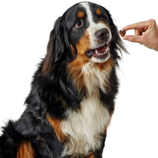 HUNTER Hundesnack »Lifestyle«, 12 Stück, Je 70, Huhn 4 HUNTER Hundesnack »Lifestyle«, 12 Stück, Je 70, Huhn – Bild 2