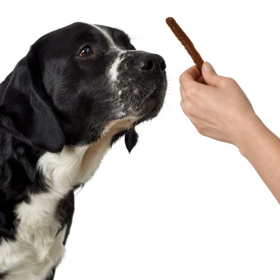 HUNTER Hundesnack »Kaustick«, 12 Stück, Je 80, Rind 5 HUNTER Hundesnack »Kaustick«, 12 Stück, Je 80, Rind – Bild 3