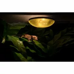 EXO TERRA Terrarienbeleuchtung