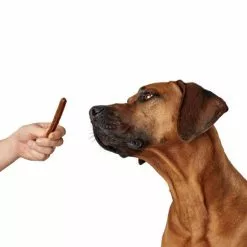 HUNTER Hundesnack »Kaustick«, 12 Stück, Je 80, Huhn -Günstiges Tierbedarf Geschäft unnamed file 14656