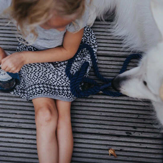 HUNTER Hundesnack »Training «, 12 Stück, Je 70, Rind 6 HUNTER Hundesnack »Training «, 12 Stück, Je 70, Rind – Bild 4