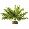 EXO TERRA Kunstpflanze, Regenwaldpflanze Boston Farn, Grün, Für Aquarien/Terrarien -Günstiges Tierbedarf Geschäft unnamed file 14720