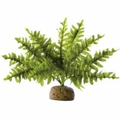 EXO TERRA Kunstpflanze, Regenwaldpflanze Boston Farn, Grün, Für Aquarien/Terrarien