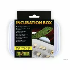 EXO TERRA Inkubator, Transparent, Kunststoff