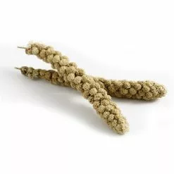 HAGEN Kolbenhirse, 400 G