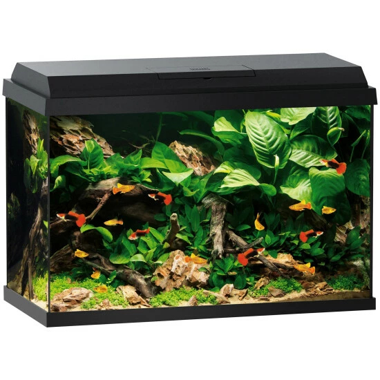 JUWEL Aquarium Primo 70 3 JUWEL Aquarium Primo 70