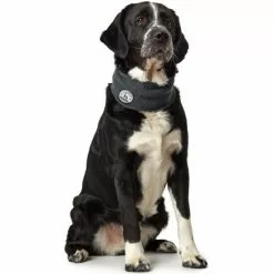 HUNTER Hundeschal »Malmö«, Anthrazit 7 HUNTER Hundeschal »Malmö«, Anthrazit -Günstiges Tierbedarf Geschäft unnamed file 14976