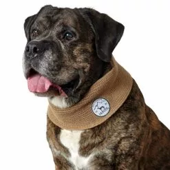 HUNTER Hundeschal »Malmö«, Beige -Günstiges Tierbedarf Geschäft unnamed file 14978