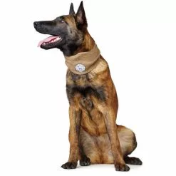 HUNTER Hundeschal »Malmö«, Beige -Günstiges Tierbedarf Geschäft unnamed file 14979