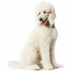 HUNTER Hundeschal »Malmö«, Beige -Günstiges Tierbedarf Geschäft unnamed file 14982