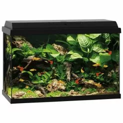 JUWEL Aquarium Primo 70 23 JUWEL Aquarium Primo 70 -Günstiges Tierbedarf Geschäft unnamed file 1503