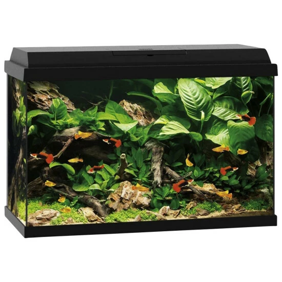 JUWEL Aquarium Primo 70 12 JUWEL Aquarium Primo 70 – Bild 10