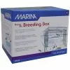 MARINA Aufzuchtbecken, Für Fische, Transparent, Becken M 1,2 L -Günstiges Tierbedarf Geschäft unnamed file 15100