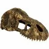 EXO TERRA Dekofigur, EX T-Rex Schädel Klein, Kunststoff, Braun