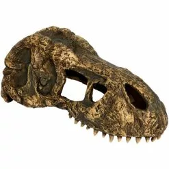 EXO TERRA Dekofigur, EX T-Rex Schädel Klein, Kunststoff, Braun