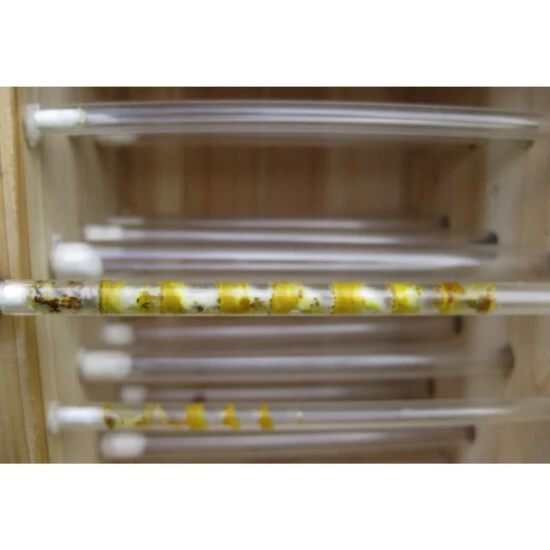 HABAU Insektenhotel 5 HABAU Insektenhotel – Bild 3