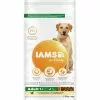 IAMS Hundetrockenfutter »Vital«, 1 Stück, Je 12 Kg, Huhn
